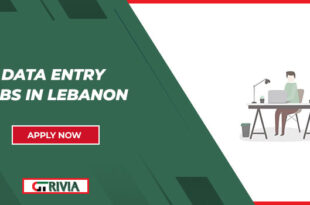Data Entry Jobs in Lebanon