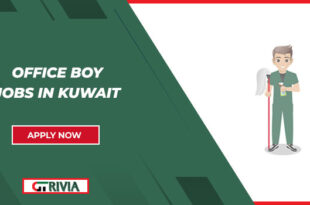 Office Boy Jobs in Kuwait