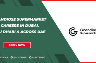 Grandiose Supermarket Careers