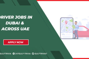 Driver Jobs in Dubai